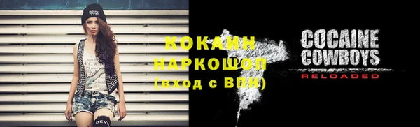 соль ск Горно-Алтайск