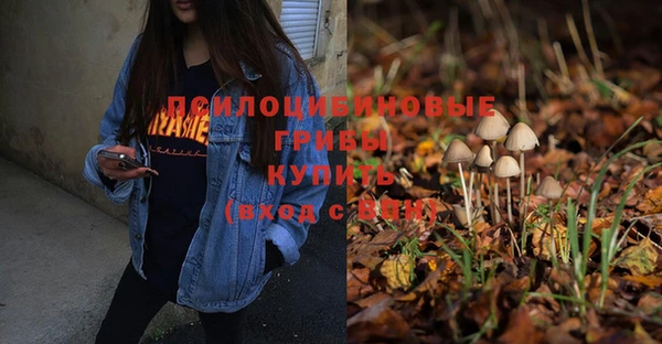дживик Гусиноозёрск