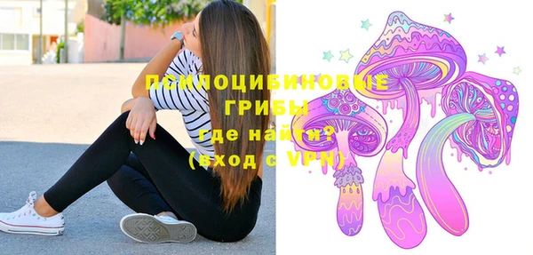 дживик Гусиноозёрск