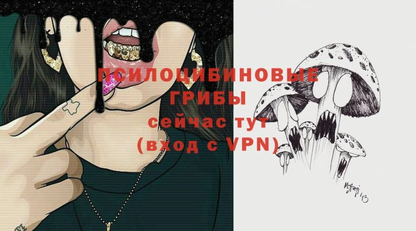 соль ск Горно-Алтайск