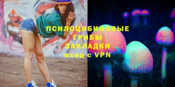 дживик Гусиноозёрск