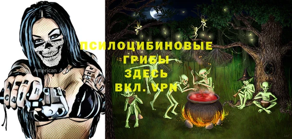 дживик Гусиноозёрск