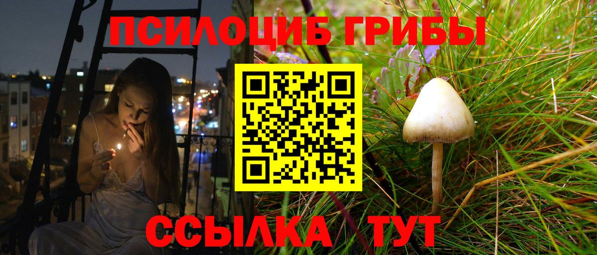 Псилоцибиновые грибы мицелий Москва