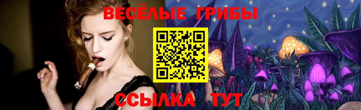 Москва  Псилоцибиновые грибы Psilocybe  Вход с VPN 